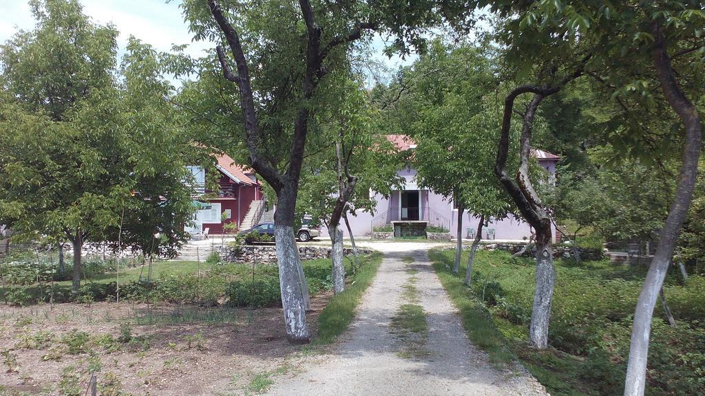 Casa Calda Apartments Cetinje Szoba fotó